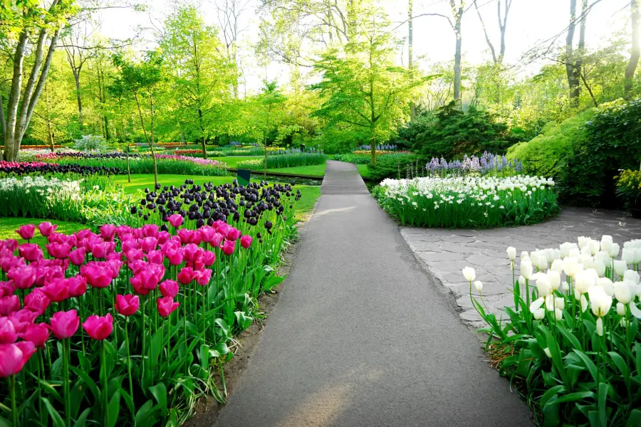 Beautifully landscaped Montclair, NJ property with a green lawn, flowers, and mature plantings