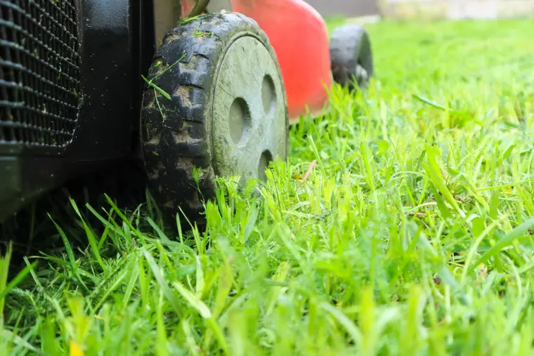 Autumn yard being cleaned up with a lawn mower in Montclair, NJ