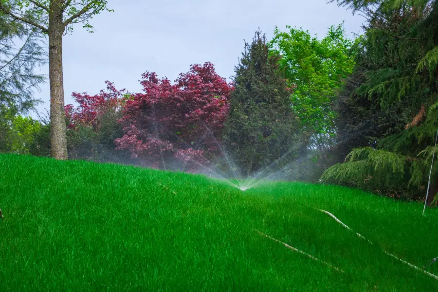 In-ground garden irrigation system watering grass at a Montclair, NJ property