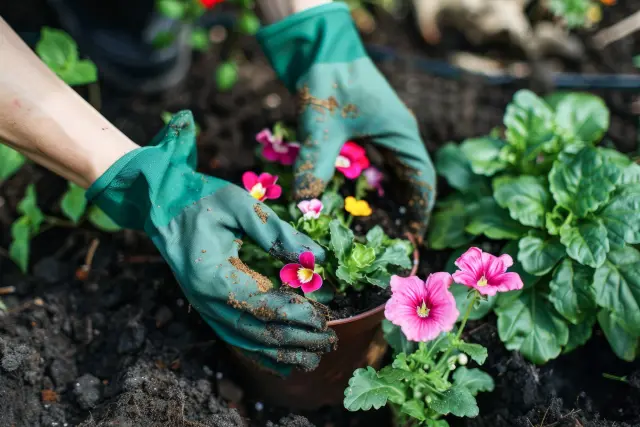 Gardener planting colorful flowers during a landscape installation in Montclair, NJ