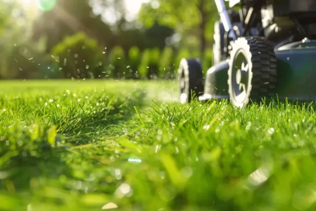 Healthy green lawn freshly mowed at a Montclair, NJ home